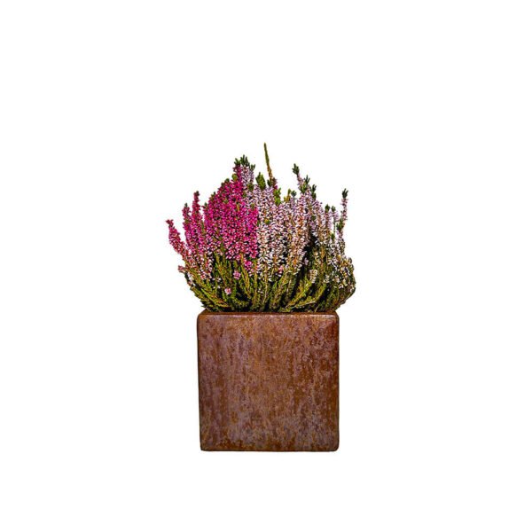 Corten gėlių vazonėlis 15x15x15_3