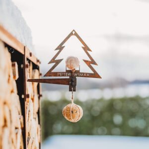 Lesyklos paukščiams - Eglute_4